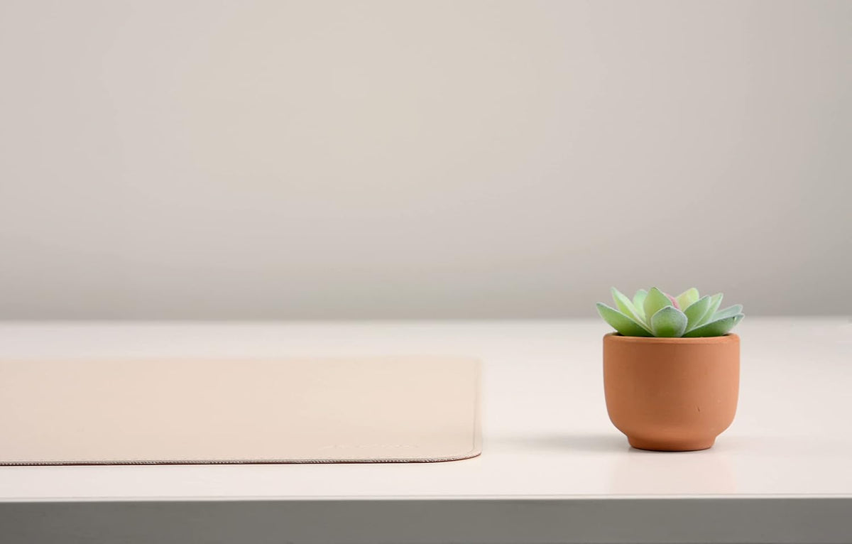 Dual-Sided Leather Desk Pad,Blotter for Laptop Computer,Mouse Pad,Writing,Drawing,Arts and Craft Mat (17"x24", Beige/Brown)
