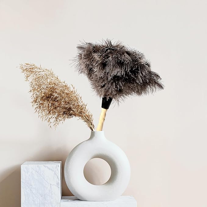 2pcs Ostrich Feather Dusters Natural Feathers Duster