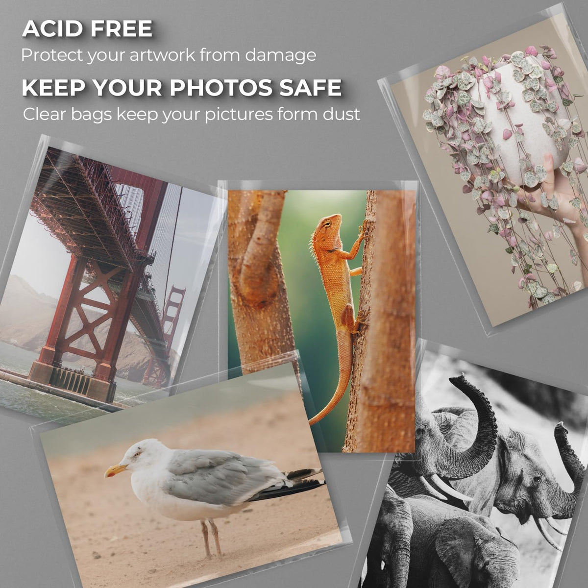 Frametory, 25 Pack 6 1/2" x 8 1/3" Acid-Free Clear Plastic Bags, Self Seal Crystal Photo Sleeves for 6X8 Art Prints, Pictures & Framing Mat Mattes
