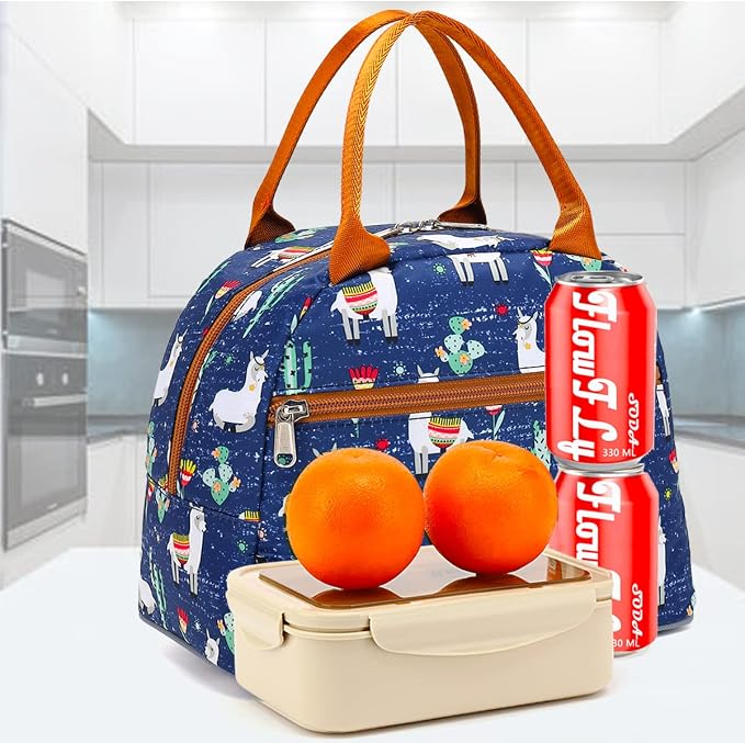 FlowFly Insulated Lunch Cooler Bag