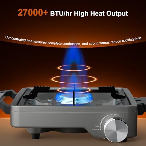 27000 BTUs 2 Burner Folding Camp Stove, Propane Gas Stove for Camping
