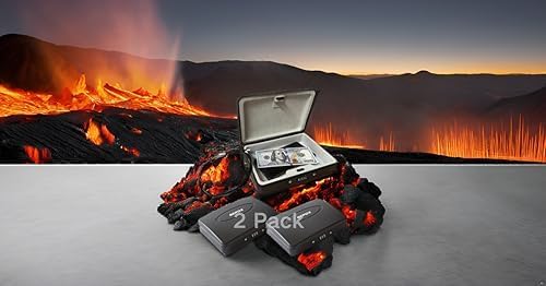 SEPOX® 2Pcs Water/Fire-Resistant Portable Security Case Lock Box Steel