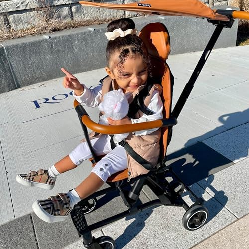 Evolur Cruise Rider Stroller