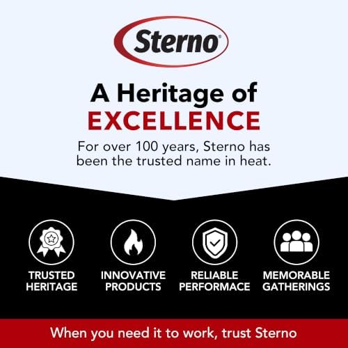 Sterno Portable Butane Stove with Carrying Case
