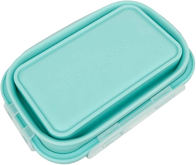 CARTINTS Silicone Collapsible Food Storage Containers-Prep/Storage Bowls
