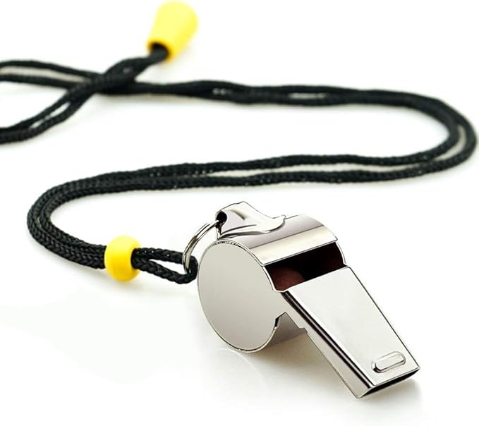 Whistle, 2 Pack Stainless Steel Sports Whistles