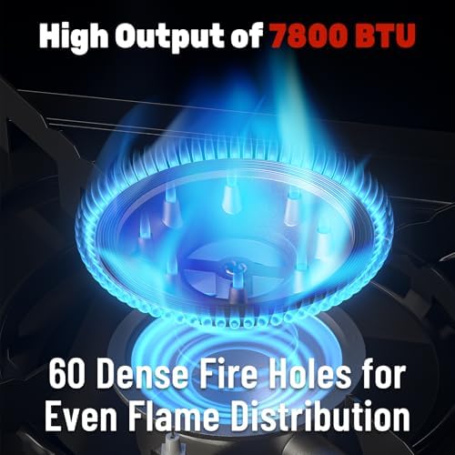 Dual Fuel Camping Stove 7800 BTU, Portable Propane Butane Burner