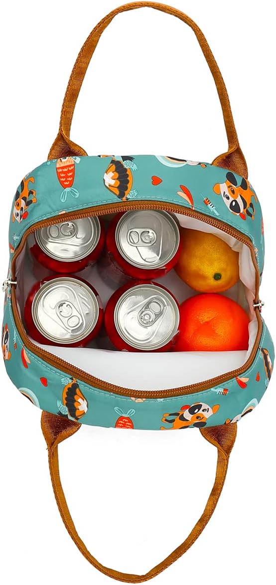 FlowFly Insulated Lunch Cooler Bag