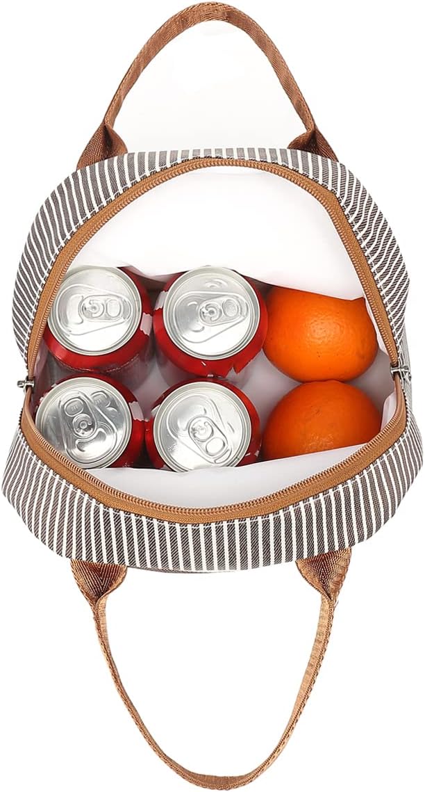 FlowFly Insulated Lunch Cooler Bag