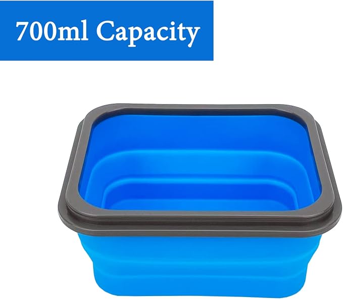 Small Silicone Collapsible Snacks Container