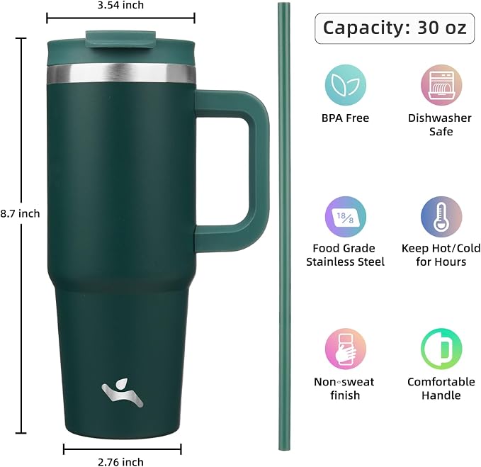 30 oz Tumbler with Handle and 2 Straws, 2 in 1 Lid Insulated Water Bottle
