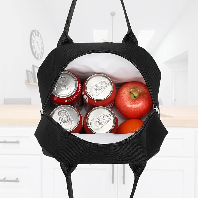 FlowFly Insulated Lunch Cooler Bag