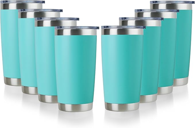DOMICARE 20oz Stainless Steel Tumbler Bulk