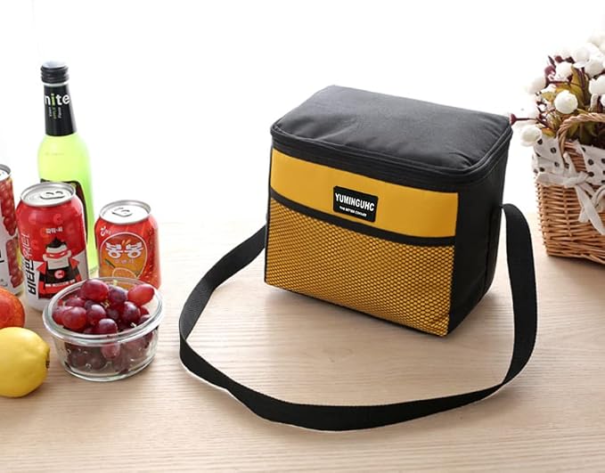 6 Can/5L Lunch Bag for Women Men Portable Lunch Box Small Cooler Bag Soft