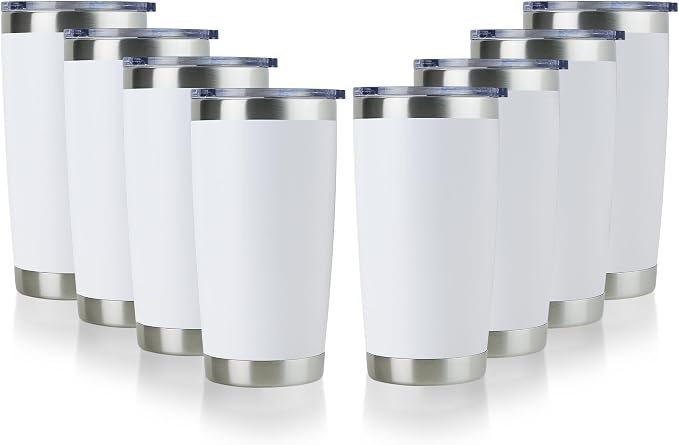 DOMICARE 20oz Stainless Steel Tumbler Bulk