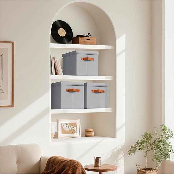 Storage Bins with Lids