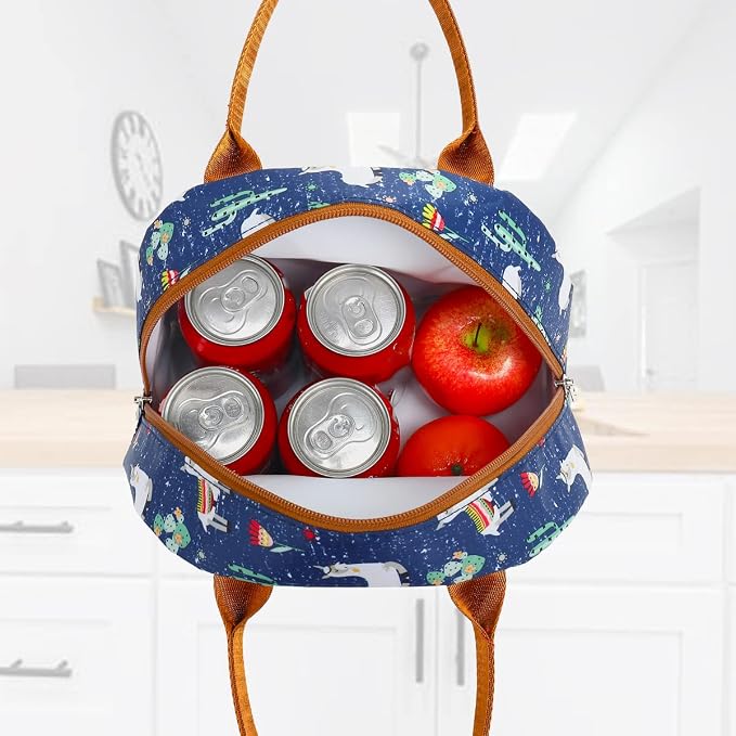 FlowFly Insulated Lunch Cooler Bag