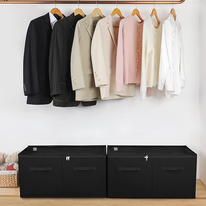 Shoe Organizer for Closet 2 Pack, Foldable Shoe Box