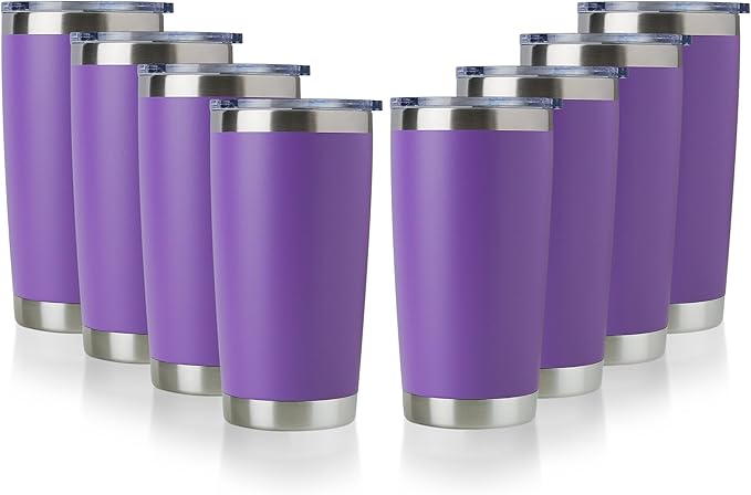 DOMICARE 20oz Stainless Steel Tumbler Bulk