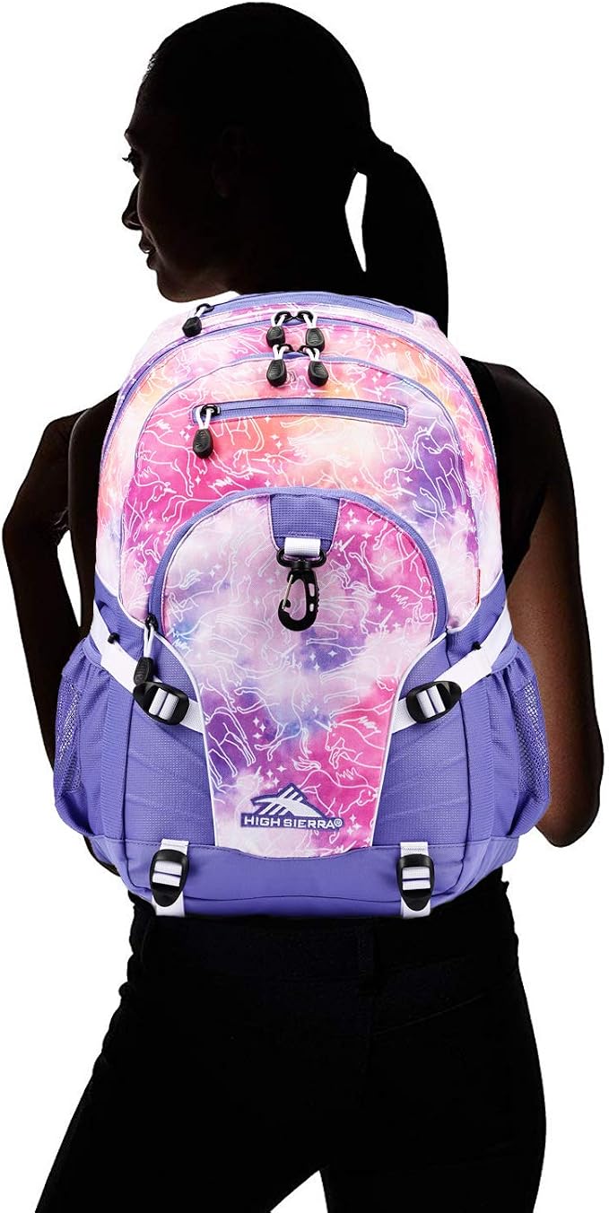 High Sierra Loop Backpack, or Work Bookbag