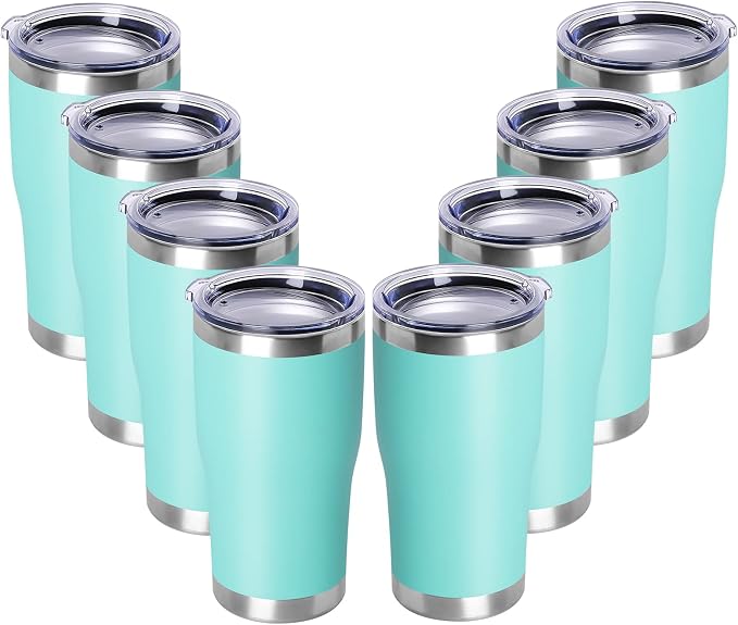 DOMICARE 20oz Tumbler with Lid Stainless Steel Tumblers Bulk, Double Wall