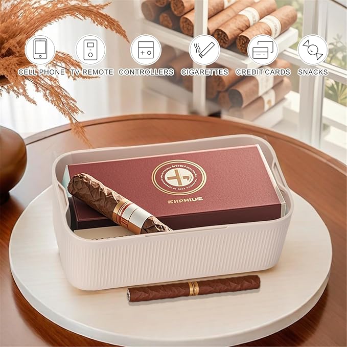 SANIDIKA Lockable Storage Box, Locking Medicine Box, Cell Phone Locked Jail