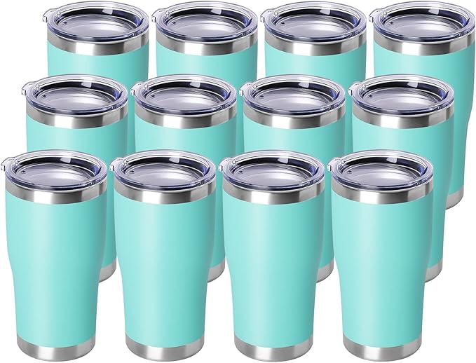 DOMICARE 20oz Tumbler with Lid Stainless Steel Tumblers Bulk, Double Wall