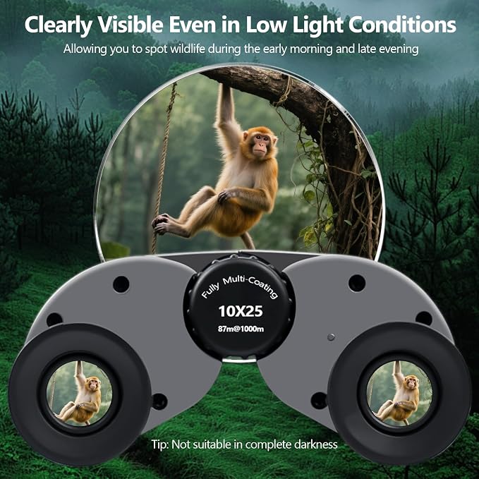 10x25 Compact Binoculars for Adults and Kids, Small High Powered Binoculars