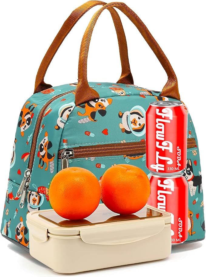 FlowFly Insulated Lunch Cooler Bag