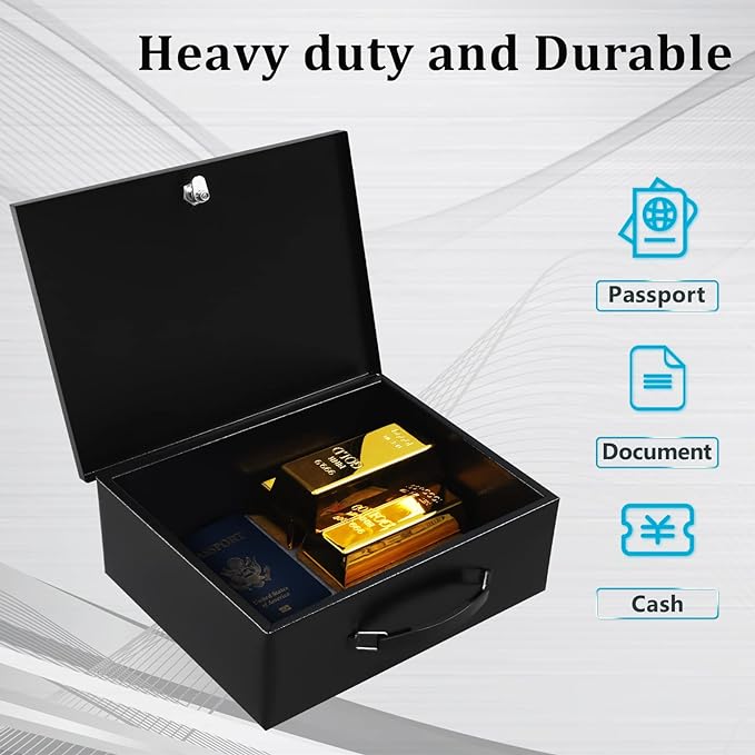 Dalmbox Portable Metal Safe Box