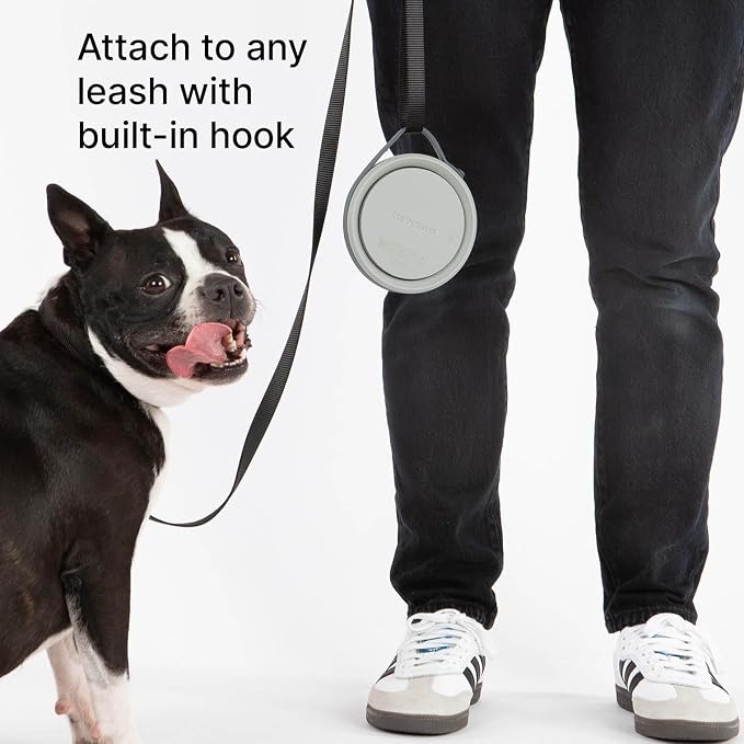 Nomad Small Collapsible Dog Bowl