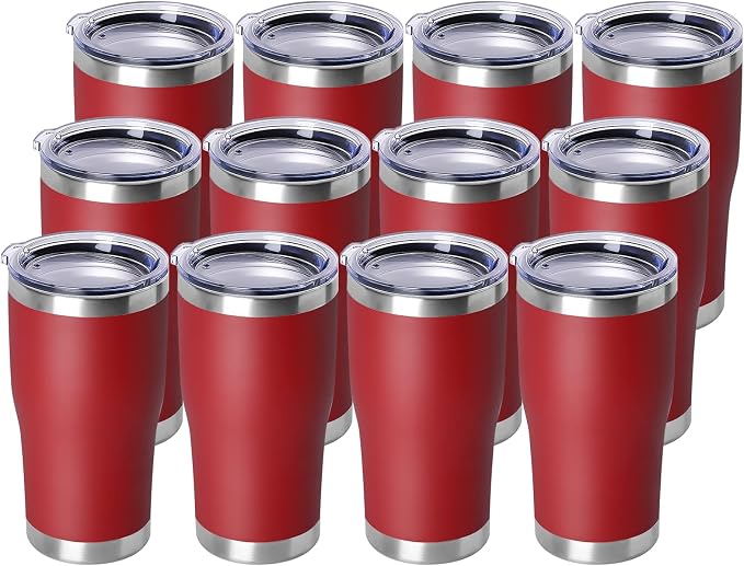 DOMICARE 20oz Tumbler with Lid Stainless Steel Tumblers Bulk, Double Wall