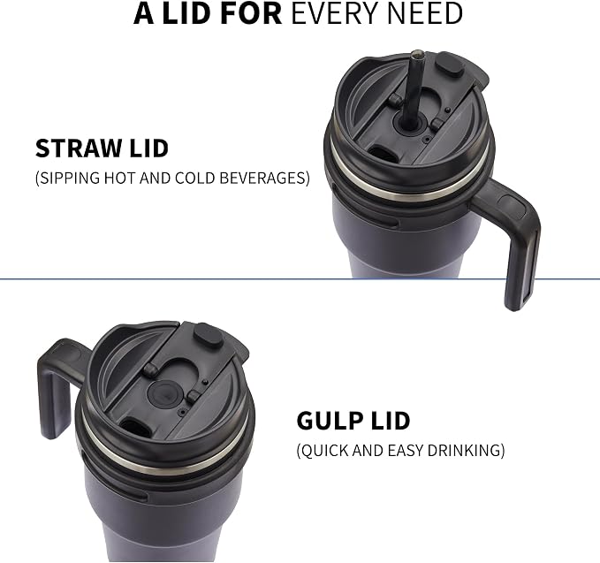 ALOUFEA 20 oz Insulated Coffee Mug Tumbler with Handle, Stainless Steel Travel Mug Tumbler with Lid and Straw, Double Wall Vacuum Leak Proof Ice Coffee Thermal Cup, Gray