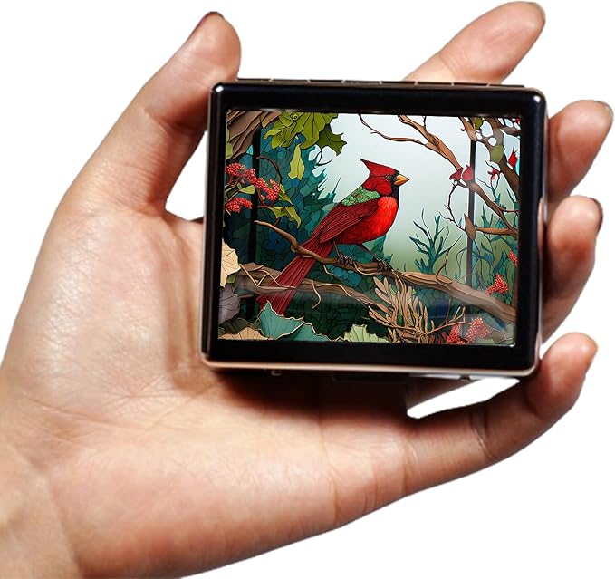 Silver Vintage Pill Box 7 Day Metal Pill Box