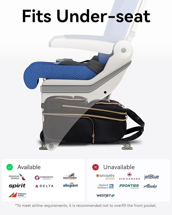 LUGGEX Underseat Carry On Luggage