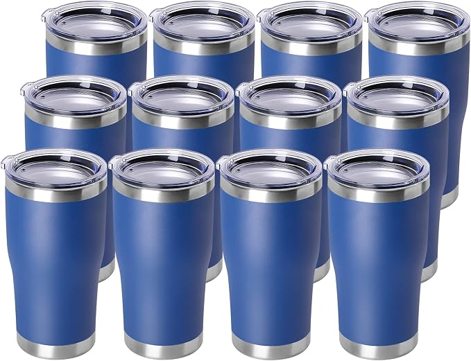 DOMICARE 20oz Stainless Steel Tumblers