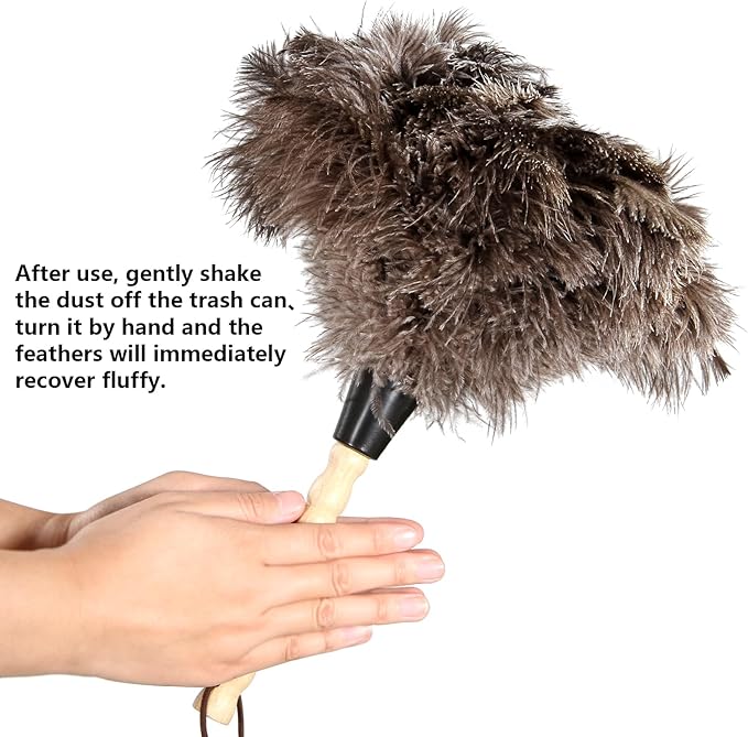2pcs Ostrich Feather Dusters Natural Feathers Duster