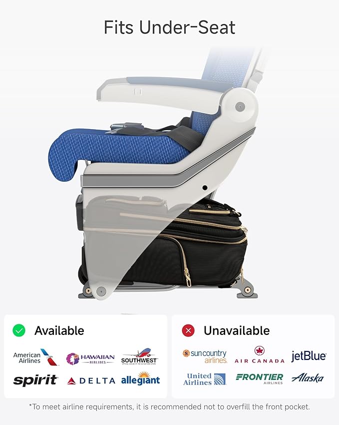 LUGGEX Underseat Carry On Luggage