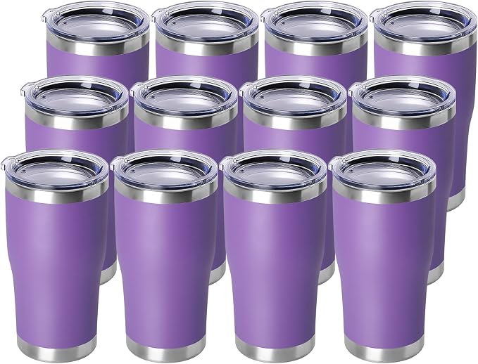 DOMICARE 20oz Tumbler with Lid Stainless Steel Tumblers Bulk, Double Wall