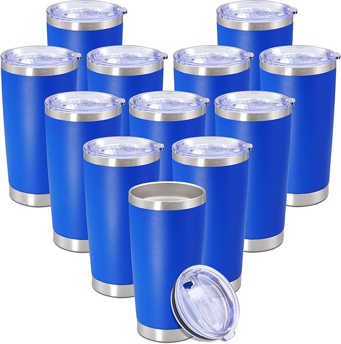 20 oz Tumbler with lid Double Wall Vacuum Insulated Tumblers Stainless Steel