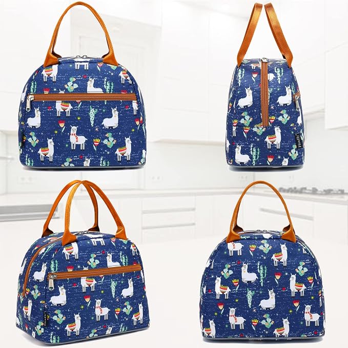FlowFly Insulated Lunch Cooler Bag