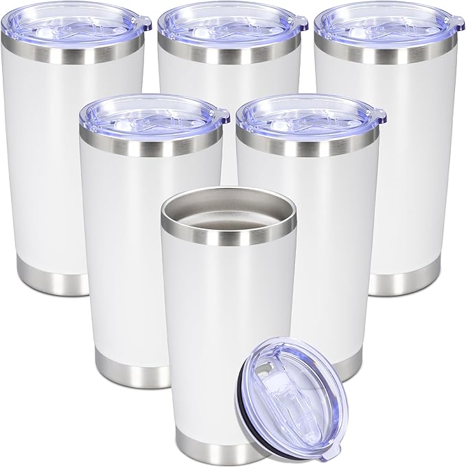 20 oz Tumbler with lid Double Wall Vacuum Insulated Tumblers Stainless Steel