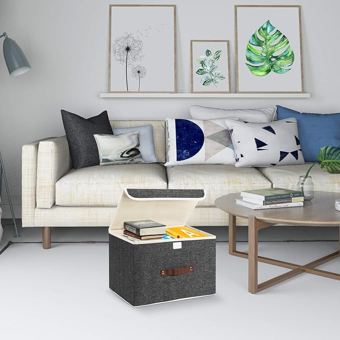 TYEERS Foldable Storage Boxes