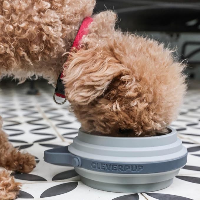 Nomad Small Collapsible Dog Bowl