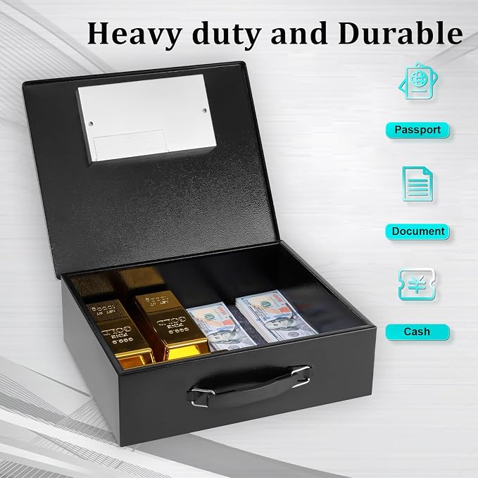 Dalmbox Portable Metal Safe Box