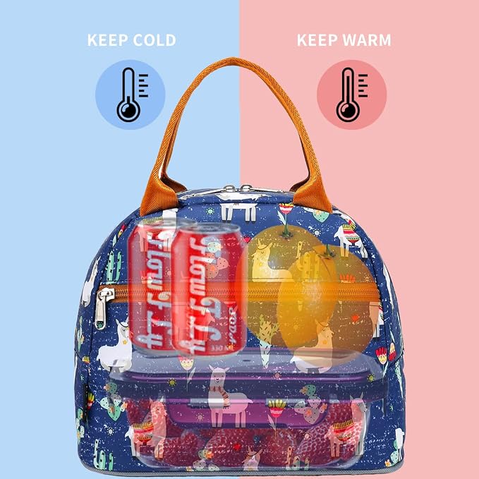 FlowFly Insulated Lunch Cooler Bag