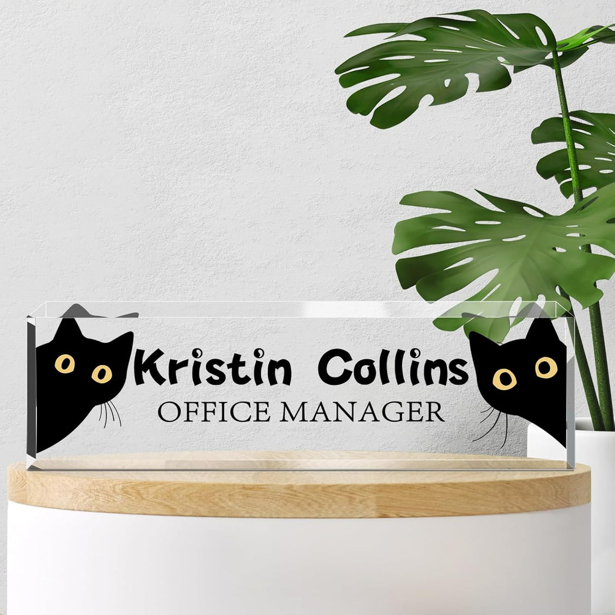 Custom Name Plate for Desk, Acrylic Office Decor For Women Men, Personalized Office Desk Accessories, Teacher Employee Appreciation Gifts For Social Worker Boss Coworkers (Cat)
