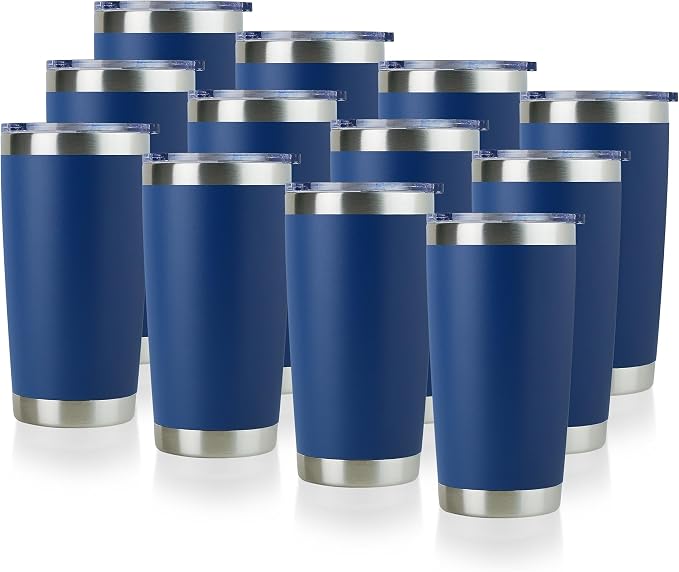 DOMICARE 20oz Stainless Steel Tumbler Bulk