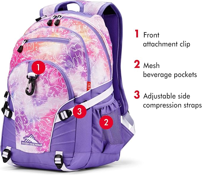High Sierra Loop Backpack, or Work Bookbag