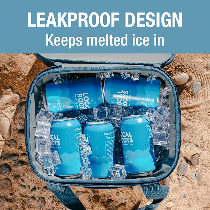 CleverMade Collapsible Insulated Cooler Bag – Leakproof Soft Folding Cooler